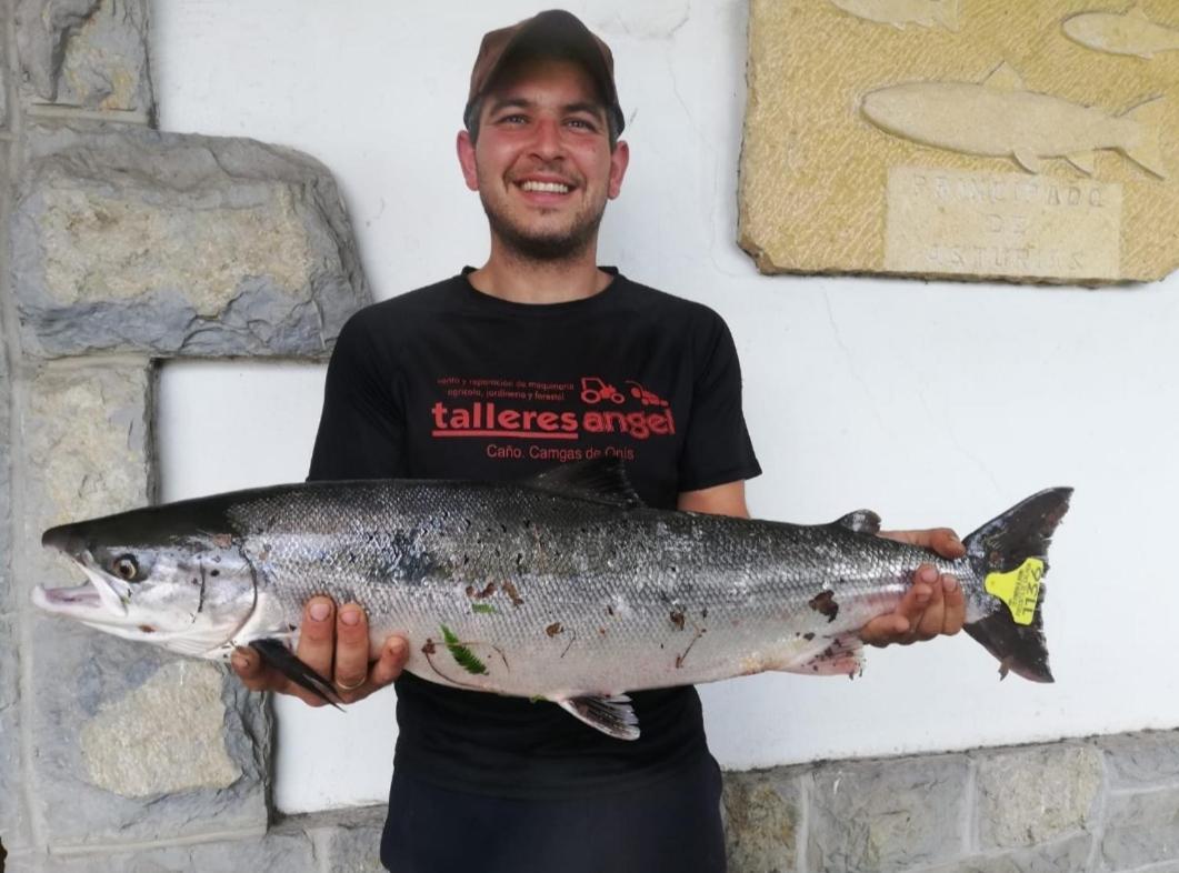 La Salmonera Cangas De Onis Cano Luaran gambar